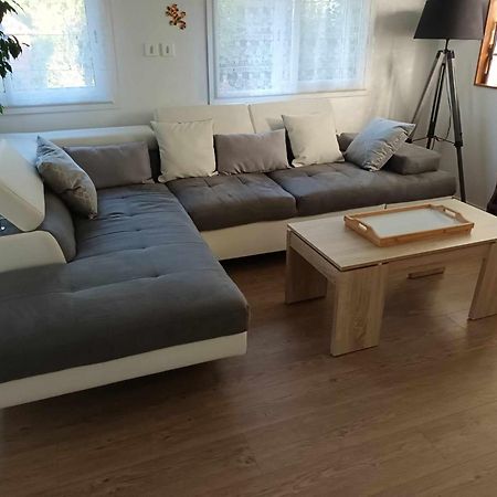 Gite Ma Vie La 3 Etoiles, Jacuzzi, Animaux Acceptes Saint-Julien-de-Cassagnas 外观 照片