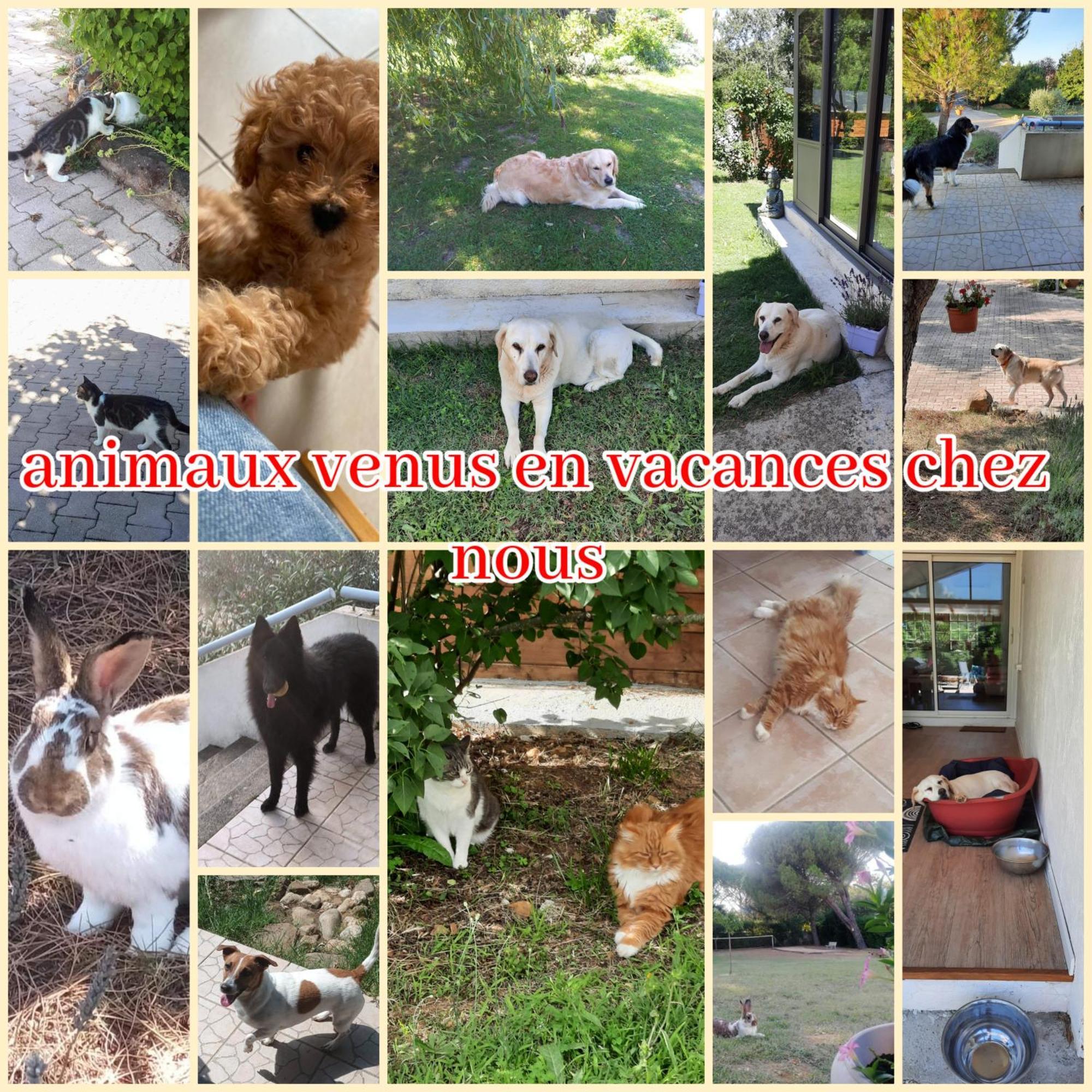 Gite Ma Vie La 3 Etoiles, Jacuzzi, Animaux Acceptes Saint-Julien-de-Cassagnas 外观 照片