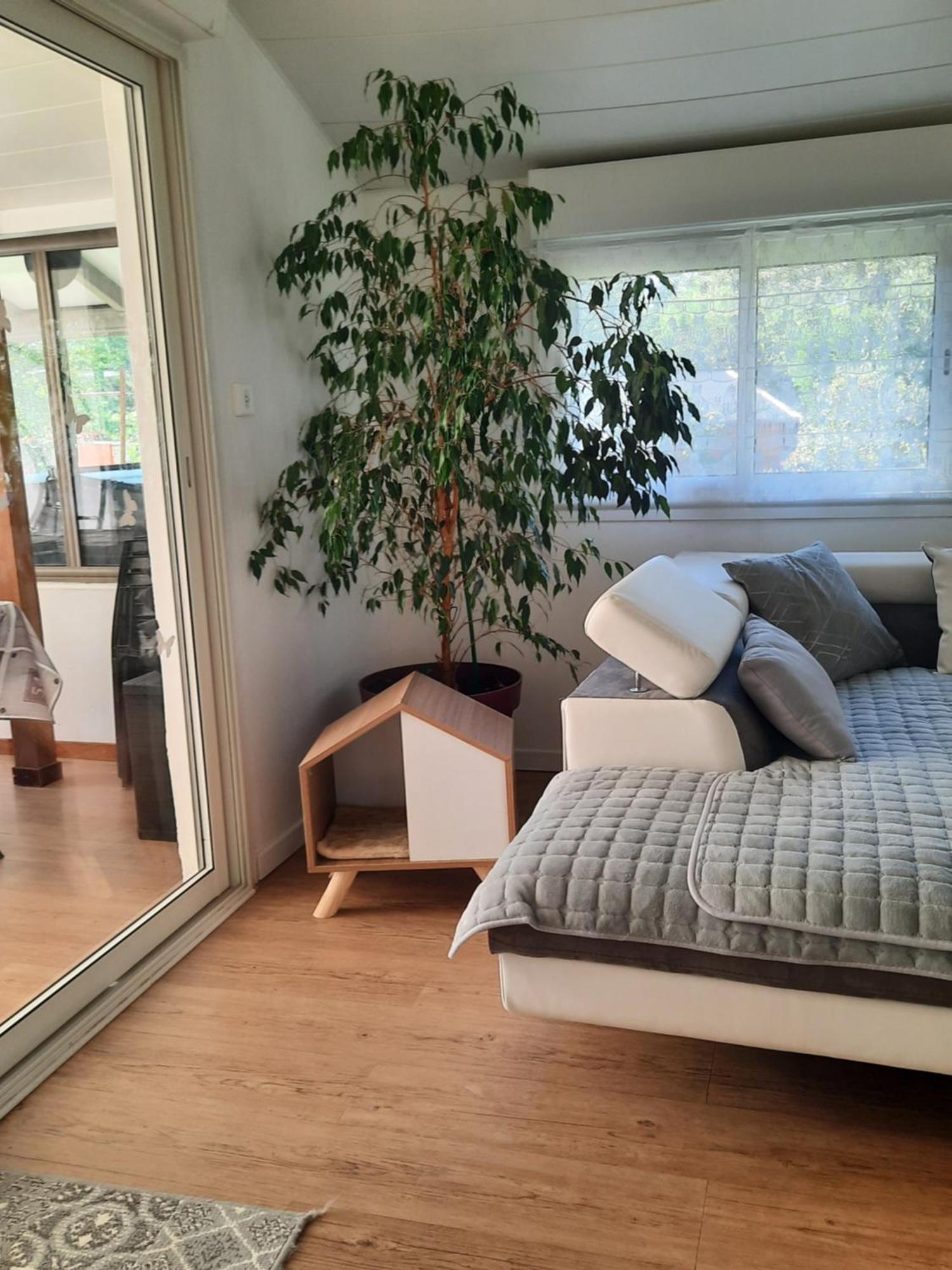 Gite Ma Vie La 3 Etoiles, Jacuzzi, Animaux Acceptes Saint-Julien-de-Cassagnas 外观 照片