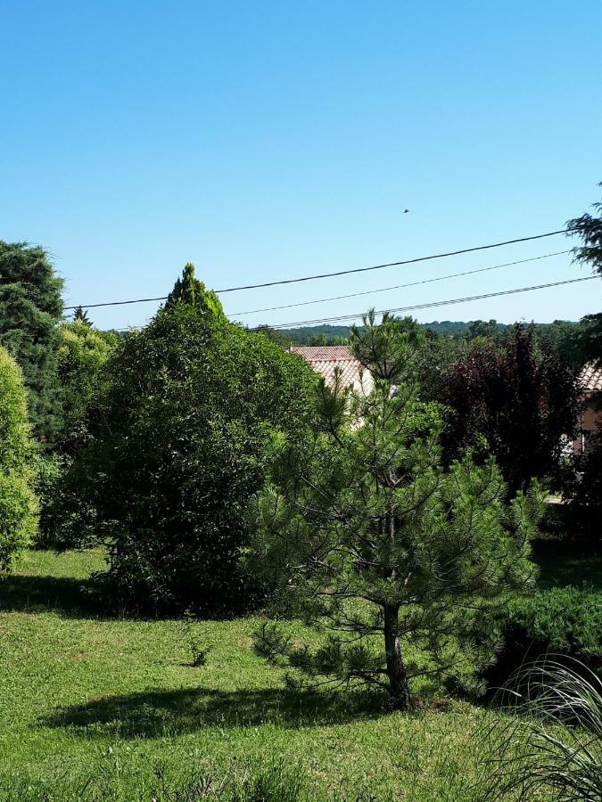 Gite Ma Vie La 3 Etoiles, Jacuzzi, Animaux Acceptes Saint-Julien-de-Cassagnas 外观 照片